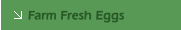 Farm Fresh Eggs